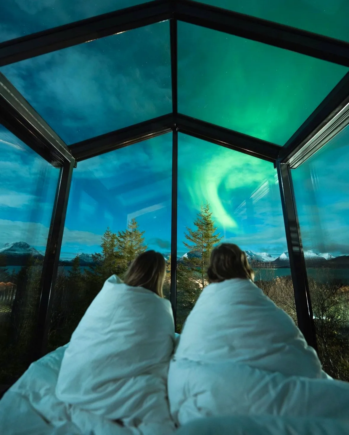 Cloud 9 Glass Roof Cabin at WonderInn Arctic